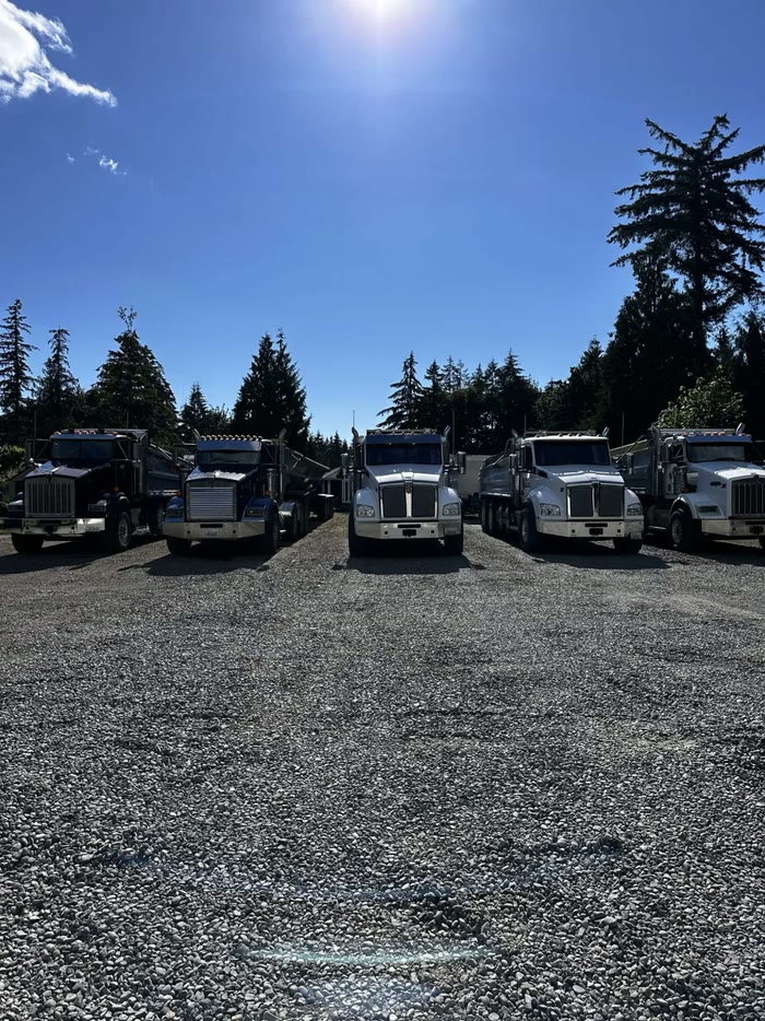 Five dump trucks parked nose-out in a row on a gravel yard under a bright blue sky.