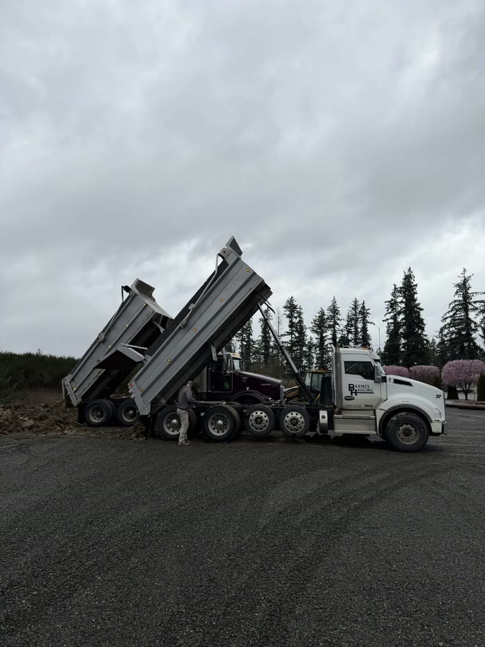 Two dump trucks with their beds raised high, tipping loads side by side on a gravel lot under a grey sky.